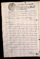 ES_030942_AMLN_13-1-0184v