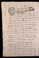 ES_030942_AMLN_13-1-0195v