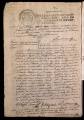 ES_030942_AMLN_13-1-0320v