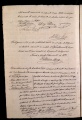 ES_030942_AMLN_15-1-0205v