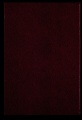 ES_030942_AMLN_15-1-0262v